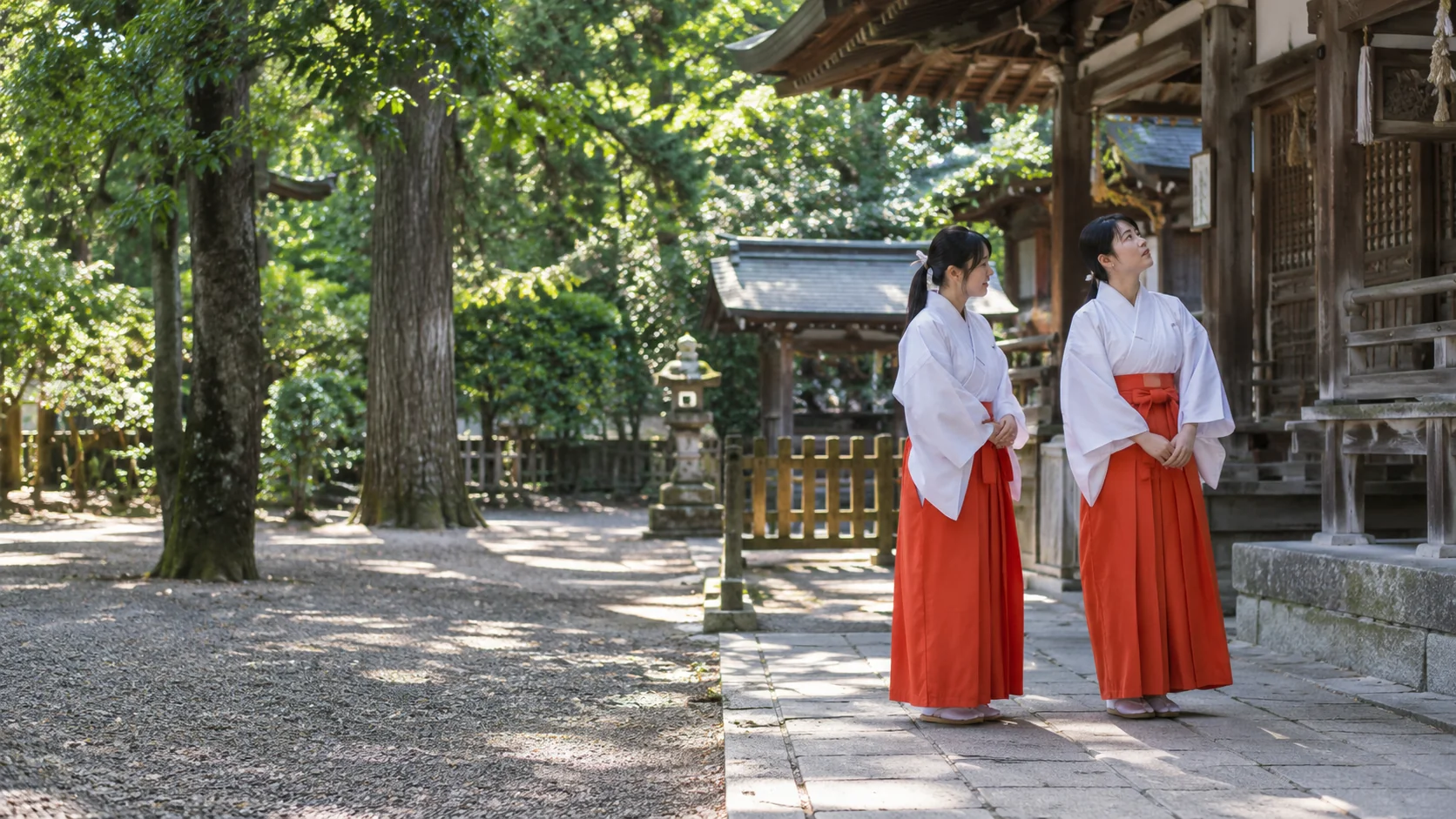 日本文化伝承プロジェクトの公式サイトで使用されている、神社の境内と巫女装束の二人を表現した文化紹介のイメージ